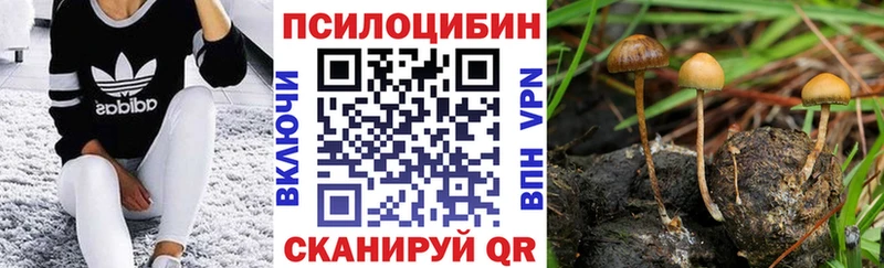 блэк спрут зеркало  купить наркотики сайты  Кропоткин  Галлюциногенные грибы MAGIC MUSHROOMS 