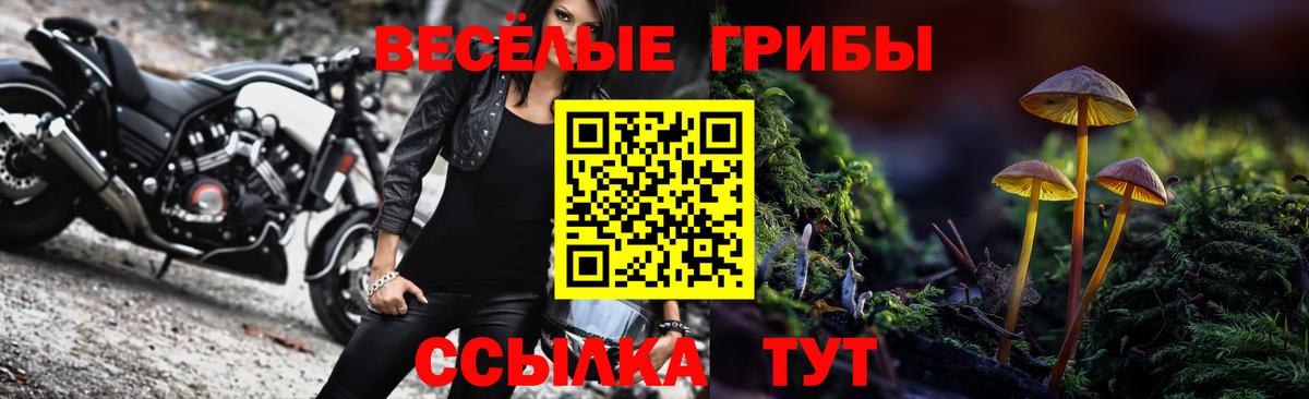 Псилоцибиновые грибы Magic Shrooms  Вход с VPN  Галлюциногенные грибы Psilocybine cubensis  Кропоткин 