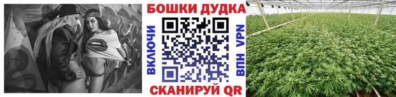 где купить   Кропоткин  Бошки Шишки LSD WEED 